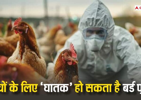 Health tips risk factor of bird flu in kids know…