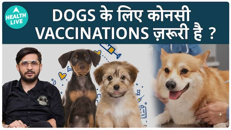 Which vaccine is necessary for pets? | Dogs Vaccine | Health Live | Pets को कोनसी Vaccine लगवाना ज़रूरी है ? | Dogs Vaccine