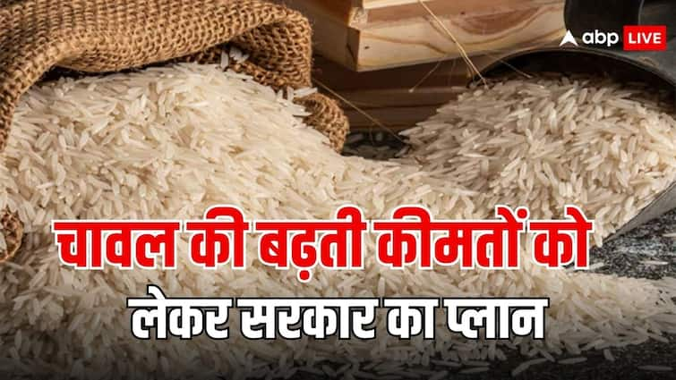 rice price hike know what is government planning to tackle it