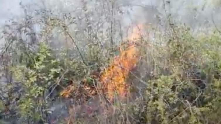 Uttarakhand Fire broke out in the forests near Dhumanganj near Mussoorie Guru Nanak School ann |