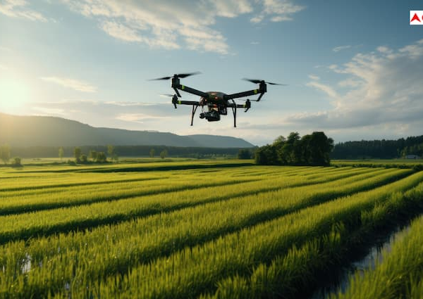 Drone in farming farmers now spray fertilizers in the fields…