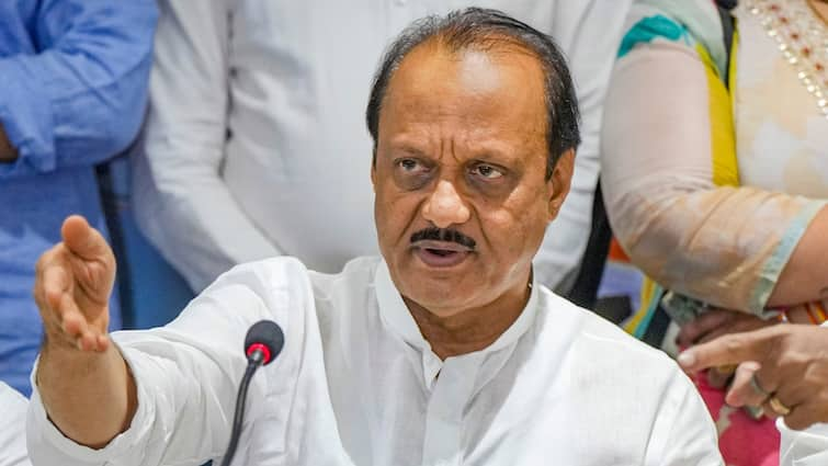 Ajit Pawar NCP On Union Budget 2024 Of PM Modi NDA Govt