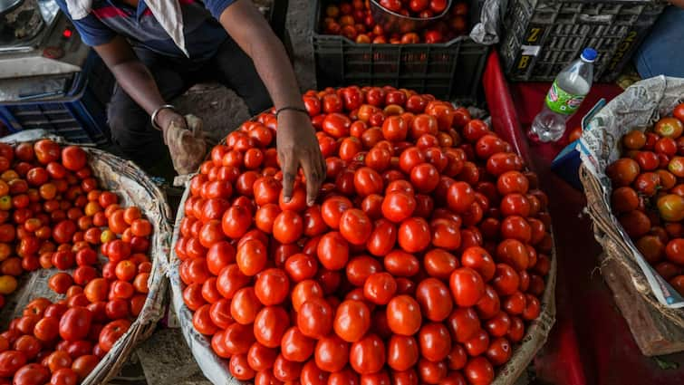 NCCF to sell Tomato Rs 60 per kg from July 29 in Delhi NCR amid soaring price