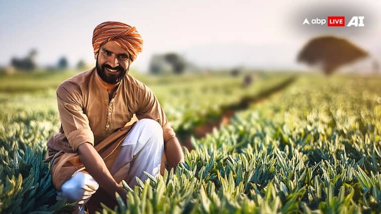 Agriculture Budget 2024 Announcement PM Kisan Credit Card Scheme Know All Details