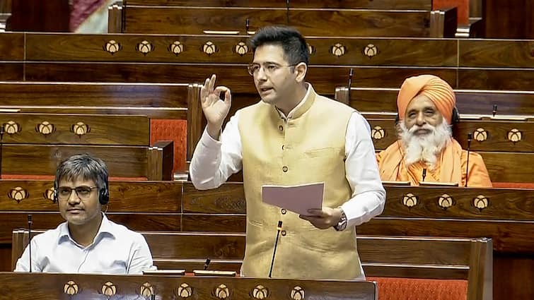 Raghav Chadha On Indexation Benefit Restore Indexation on long term capital Union Budget Nirmala Sitharaman