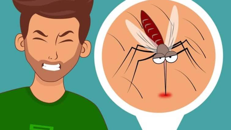 Zika Virus Cases in Maharashtra Union Health Ministry issues advisory To States