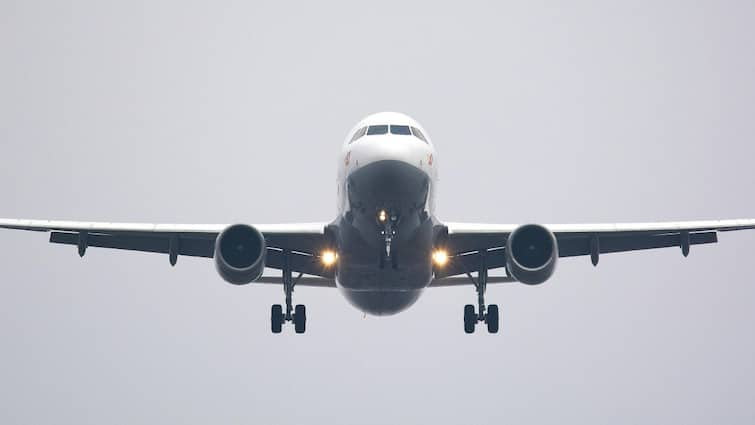 Couple fighting in Dublin flight emergency landing in France Nantes airport