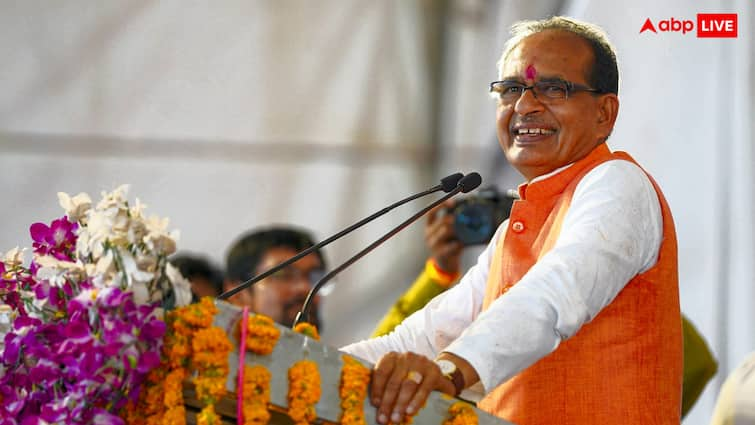 Government Will Give Subsidy on natural farming to farmers know what aagriculture minister shivraj singh chouhan says