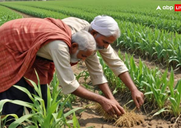 Farmers in this state received Over 377 crore in the…