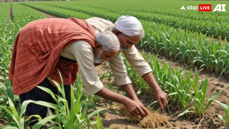 Farmers in this state received Over 377 crore in the last five years Otaram Dewasi