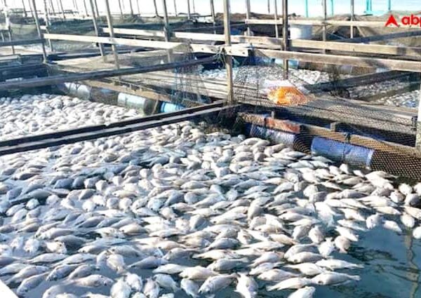 Animal Husbandry Important points for fish farming Read full article