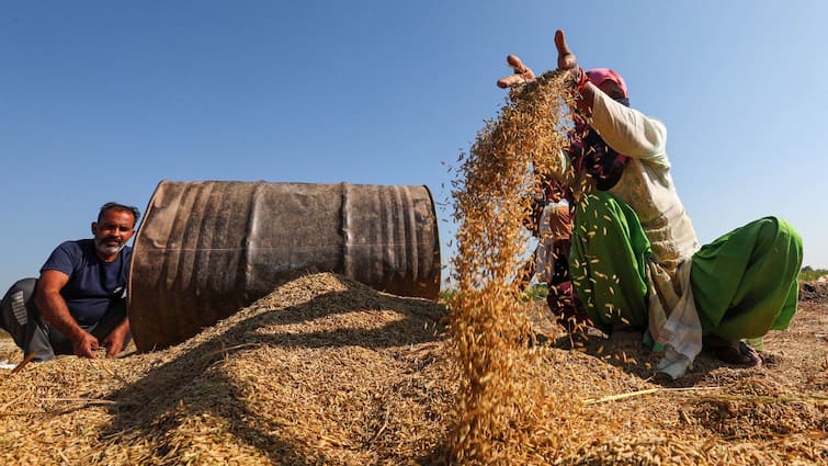 Paddy Procurement Chhattisgarh Government procure 160 mt paddy from this date