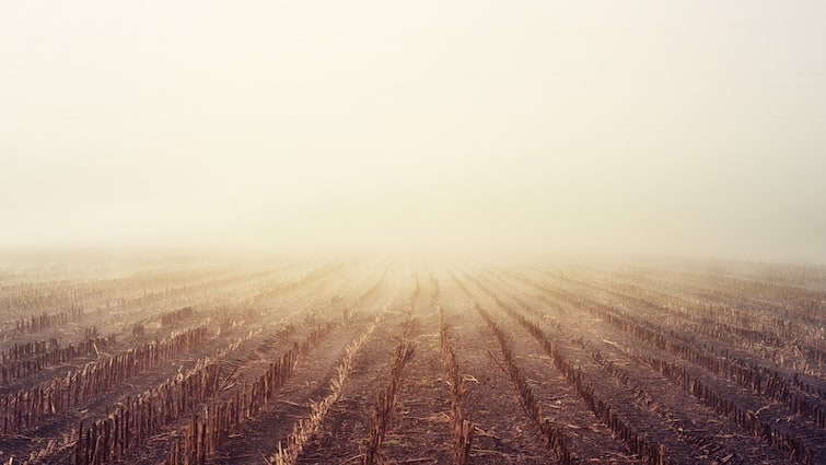 Governments plan to stop stubble burning this bank will give loan on subsidy