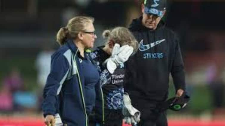 Bridget Patterson Nasty Blow Got Injured In Womens Big Bash Leauge Viral Video Latest Sports News