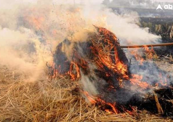 भारत के पंजाब में हर साल पराली जलाने पर होता…