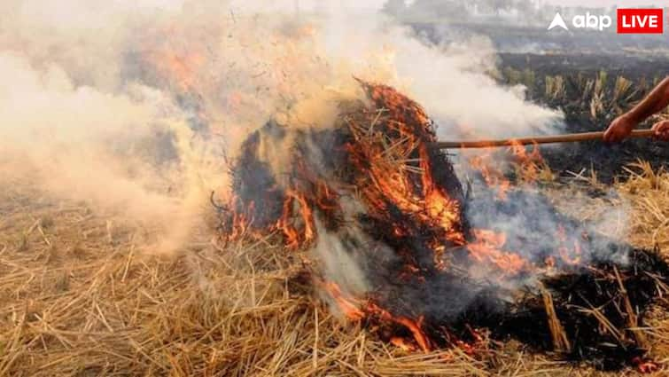 भारत के पंजाब में हर साल पराली जलाने पर होता है विवाद, इससे कैसे निपटता है पाकिस्तान का पंजाब?