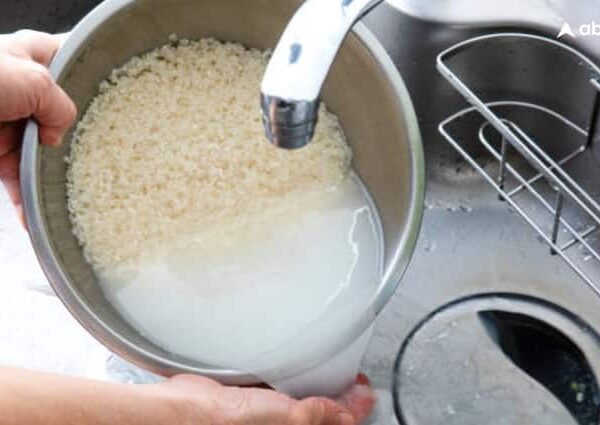 how different is fortified rice from normal rice and how…