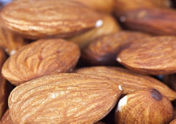 Almond Cultivation farmers become rich by cultivating it know tips