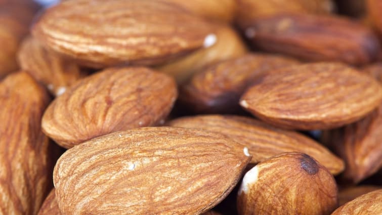 Almond Cultivation farmers become rich by cultivating it know tips