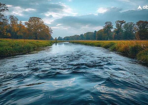 the level of rivers reached the lowest level in the…