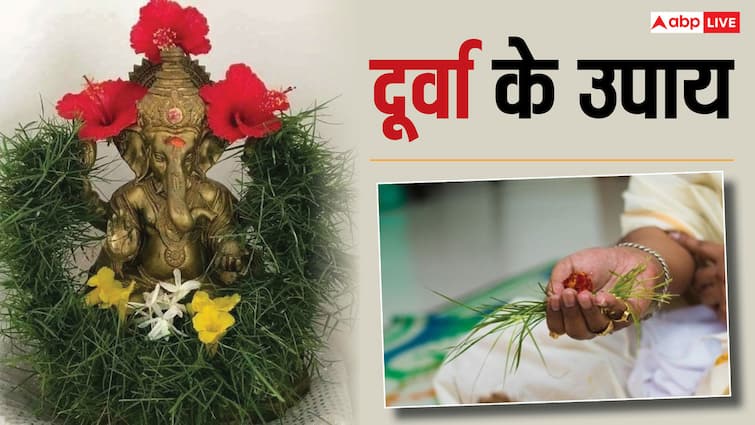 Budhwar upay durva remedies on Wednesday ganesh ji puja makes the child smart