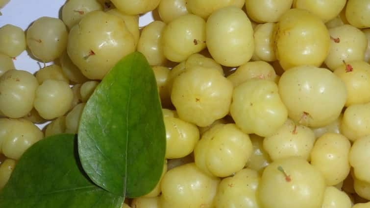 Amla plant online order get it cheap rates many government organizations are selling