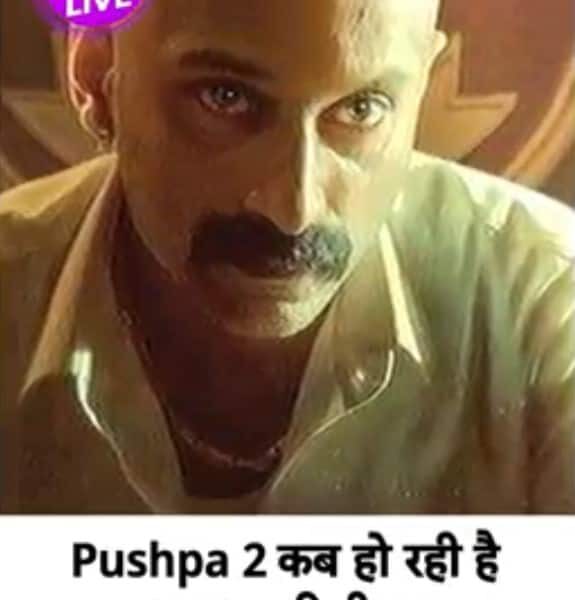 Pushpa 2: The Rule की OTT Release पर क्या बोले…