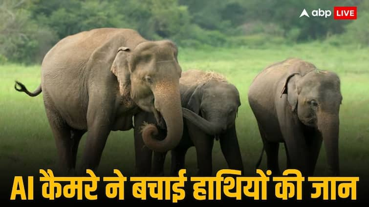 AI Technology saves elephants by detecting herd on railway track in Rourkela Odisha